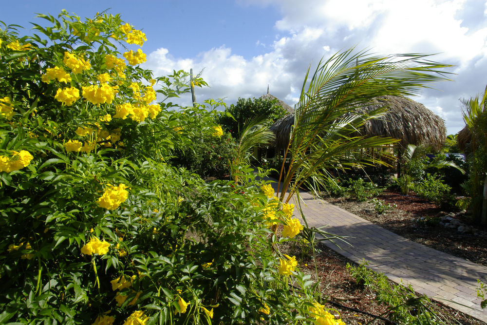 Kura Hulanda Lodge & Beach Club Westpunt Экстерьер фото